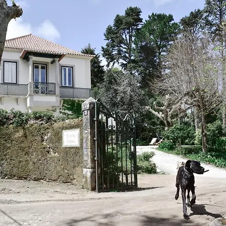Eighteen21 - Casa Da Mula In Quinta Velha Daire Sintra
